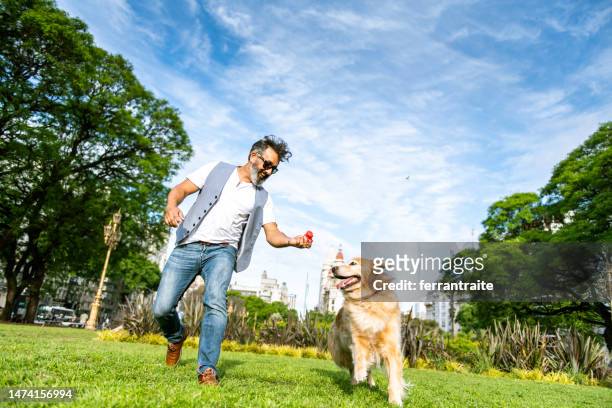 mature man training golden retriever - middle age man with dog stockfoto's en -beelden
