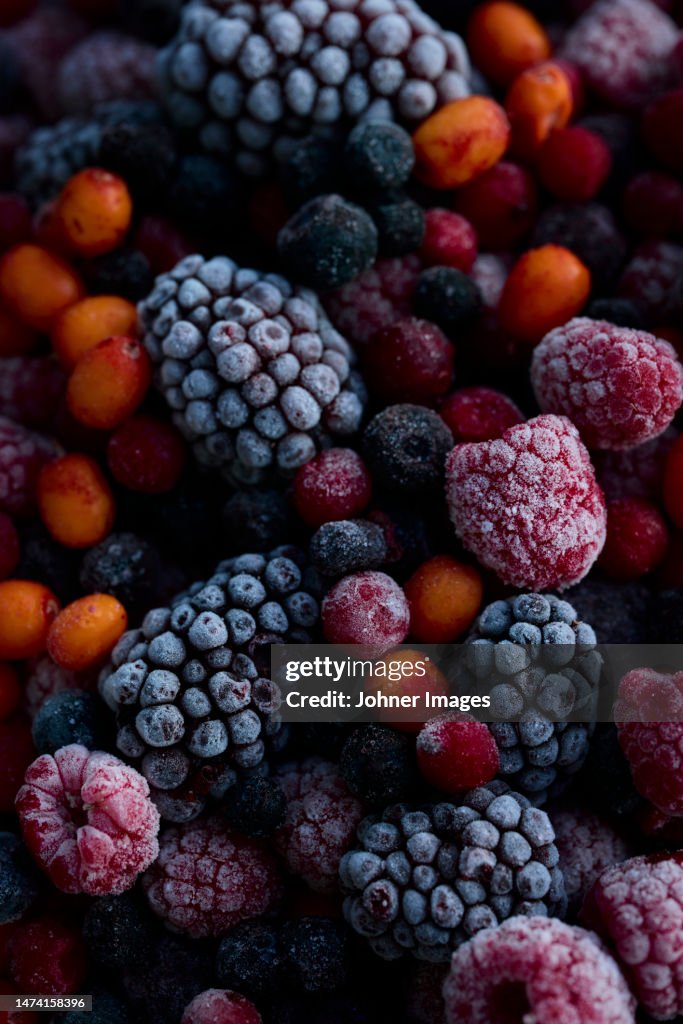 Frozen berries, full frame