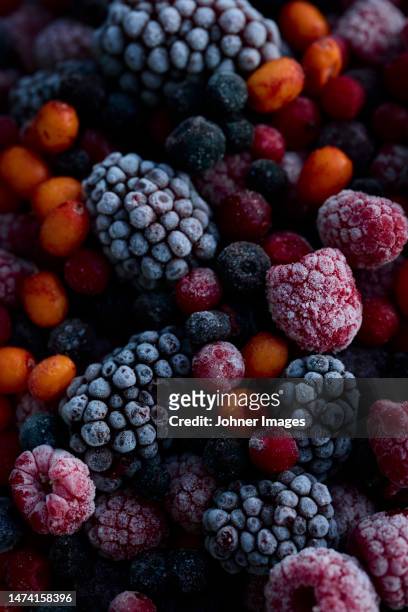frozen berries, full frame - summer fruit stock pictures, royalty-free photos & images