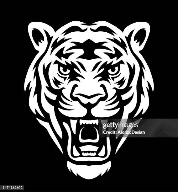 tiger fury. roaring tiger head. mascot creative design. tiger head tattoo. - roaring stock illustrations