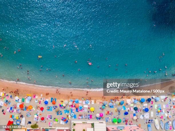 aerial view of italian beach during summer,sestri levante,metropolitan city of genoa,italy - sunshade stock pictures, royalty-free photos & images