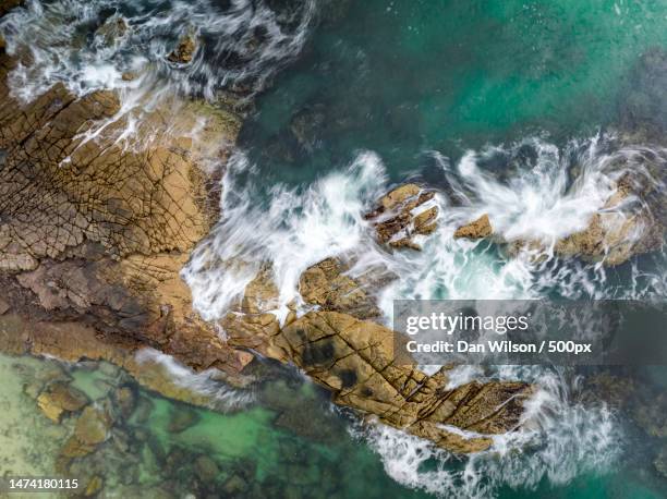 Point Arkwright Turtles 19 Point Arkwright Queensland Stock Photos, High-Res Pictures, and ...