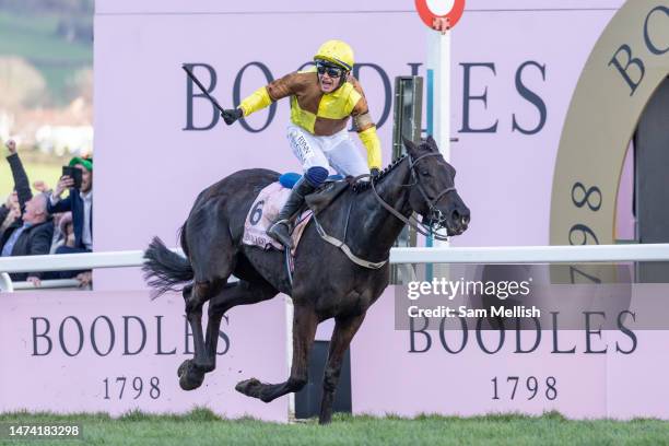 Jockey, Paul Townend on Galopin Des Champs celebrates winning the Boodles Cheltenham Gold Cup Steeple Chase during day four, Gold Cup Day, of the...