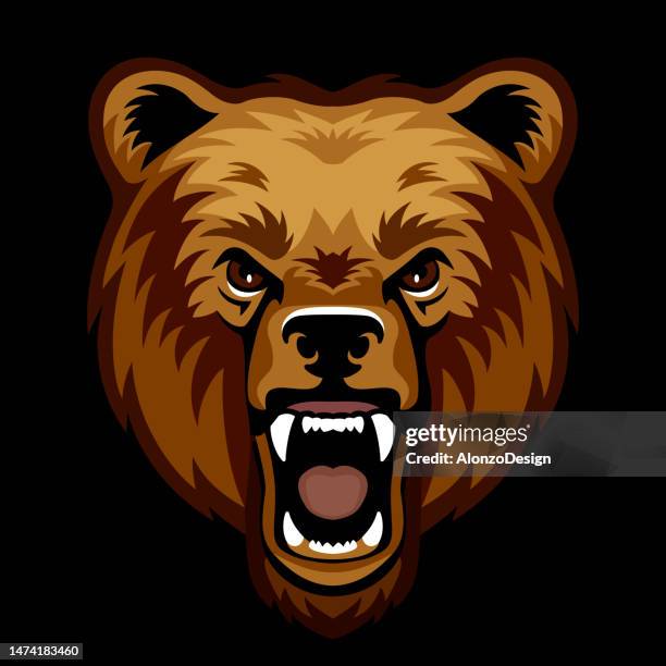 grizzly bear growling. mascot creative design. bear fury. roaring brown bear. - angry bear face stock illustrations