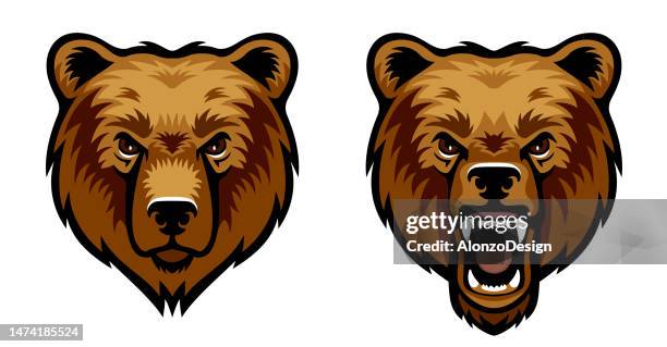 illustrations, cliparts, dessins animés et icônes de visage d’ours brun. mascotte design créatif. ours fureur. ours brun rugissant. - snarling stock