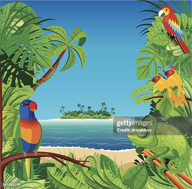 tropischer strand - parrot stock-grafiken, -clipart, -cartoons und -symbole