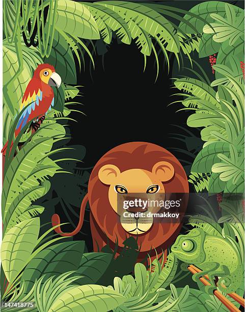 tropical africa - madagascar forest stock illustrations