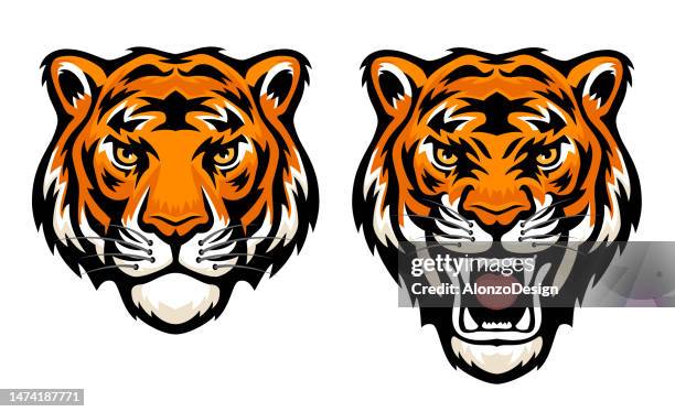 illustrations, cliparts, dessins animés et icônes de visage de tigre. fureur de tigre. tête de tigre rugissante. mascotte design créatif. - agression