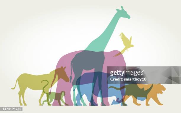 wild animals - in silhouette zoo animals stock illustrations