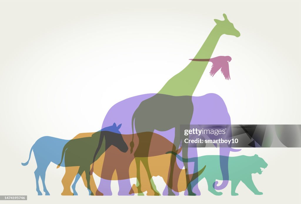Wilde Tiere