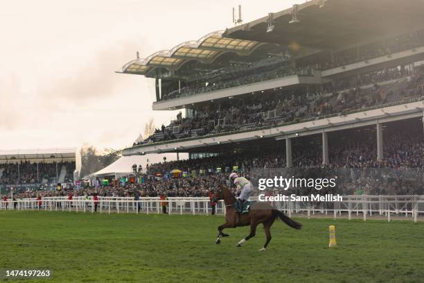 Jockey, Paul Townend on Allegorie De Vassy ahead of The Mrs Paddy Power Mares Steeple Chase during day four, Gold Cup Day, of the Cheltenham Festival...