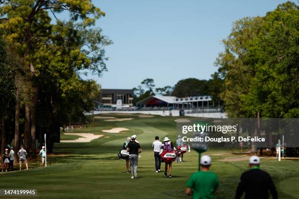 Martin Trainer 1,484 Martin Trainer Golf Stock Photos, High-Res Pictures, and Images ...