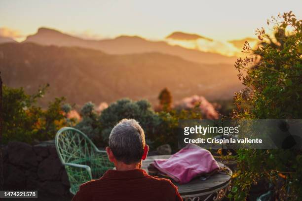 mature man contemplating sunset in nature - distinguished gentlemen with white hair stock pictures, royalty-free photos & images