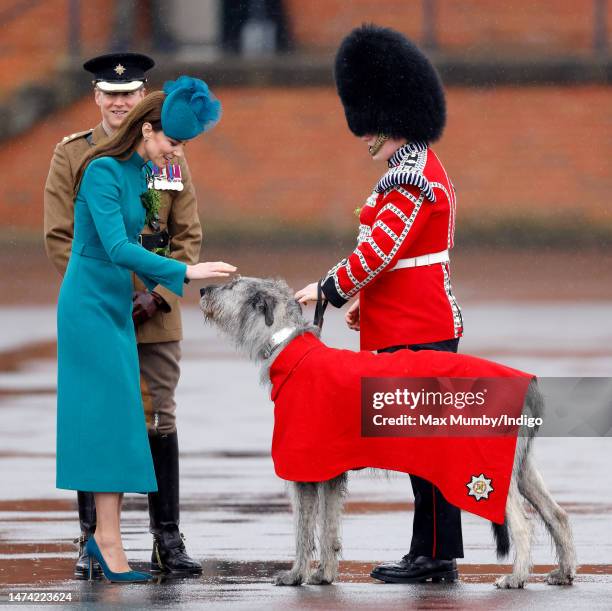 Catherine, Princess of Wales presents Irish Wolf Hound 'Turlough Mor' , regimental mascot of the Irish Guards, with a sprig of shamrock during the...