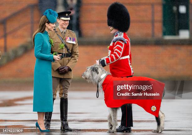 Catherine, Princess of Wales presents Irish Wolf Hound 'Turlough Mor' , regimental mascot of the Irish Guards, with a sprig of shamrock during the...