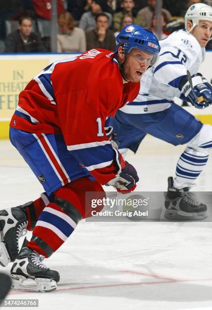 Saku Koivu of the Montreal Canadiens skates against the Toronto Maple Leafs during NHL game action on February 8, 2003 at Air Canada Centre in...