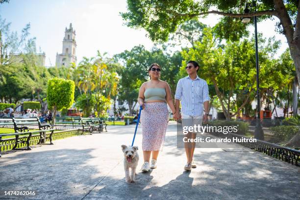 young couple walking with their dog - merida mexico stock pictures, royalty-free photos & images