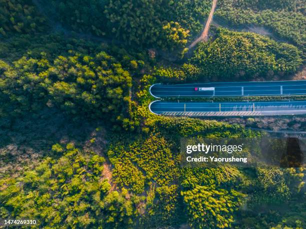 high angle view of cars moving on highway tunnels - economia a basse emissioni foto e immagini stock