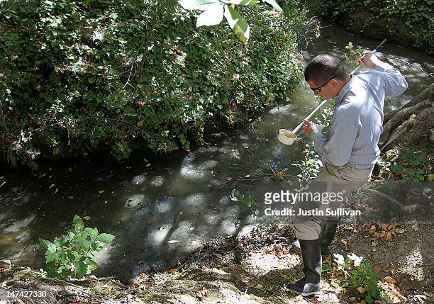 Contra Costa County Mosquito and Vector Control District technician David Wexler looks for mosquito larvae in a water sample from a creek on June 29,...
