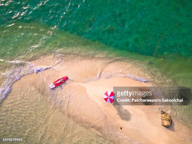 summer from above - aerial beach view sunbathers stock pictures, royalty-free photos & images