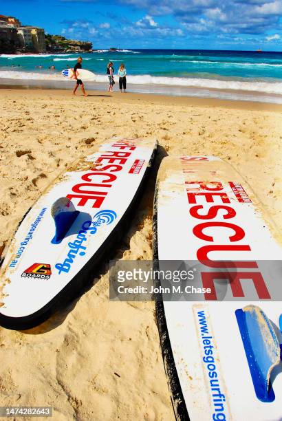 north bondi surf bathers life saving club surfboards, north bondi beach (australia) - sydney chase imagens e fotografias de stock