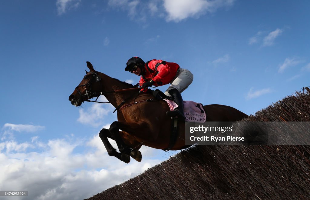 Cheltenham Festival 2023: Day Four