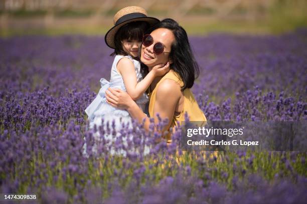 a young asian mother wearing a yellow jumpsuit dress an sunglasses smiles and kisses her daughter while sitting in the middle of a lavender field in a sunny summer day in kinross, scotland, uk - girls jumpsuit stock pictures, royalty-free photos & images