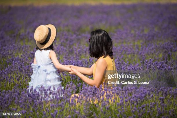 young asian mother wearing a yellow jumpsuit dress sits down and holds her daughter’s in the middle of a lavender field in a sunny summer day in kinross, scotland, uk - level 5 stock pictures, royalty-free photos & images