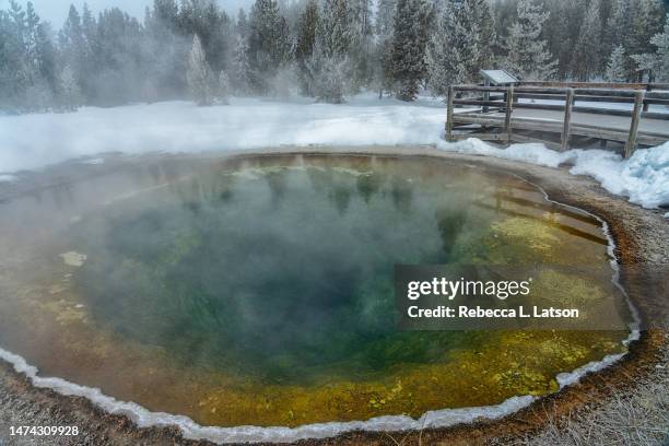 morning glory pool view area - hot spring stock pictures, royalty-free photos & images