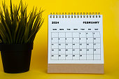 February 2024 month calendar with table plant on yellow cover background. Monthly calendar concept.