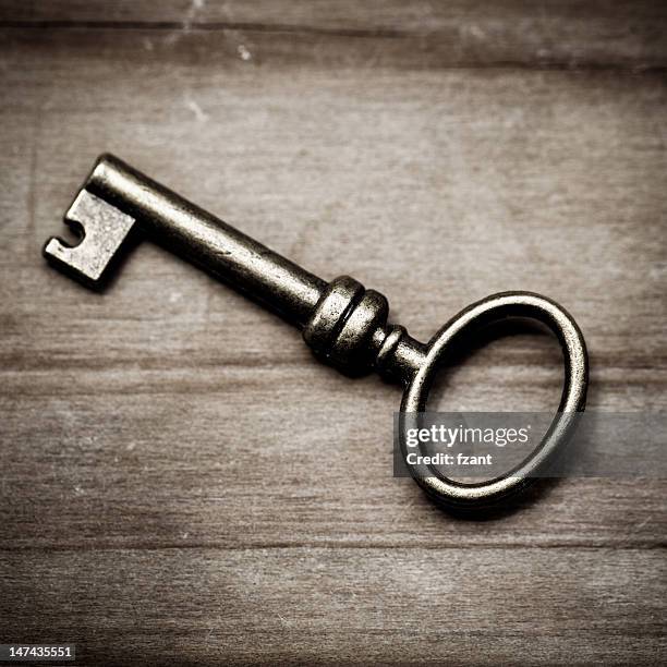 Basic Skeleton Key 128 Simple Skeleton Key Stock Photos, High-Res Pictures, and Images ...