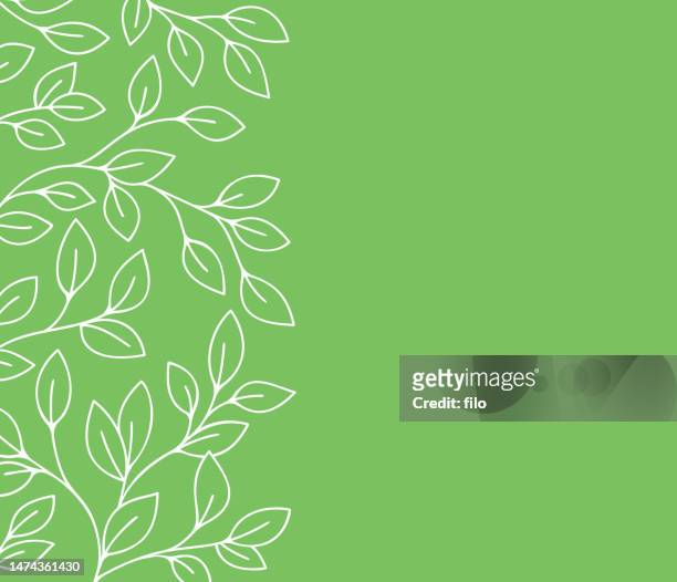 spring leaves line drawing edge border - cultivated stock illustrations
