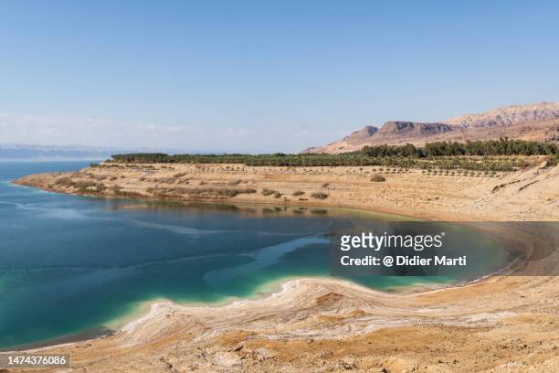 the dead sea in jordan - jordan stock pictures, royalty-free photos & images