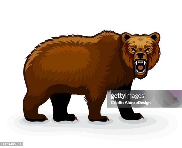 stockillustraties, clipart, cartoons en iconen met wild brown bear cartoon character. grizzly bear growling. mascot creative design. bear fury. roaring brown bear. - bear attacking