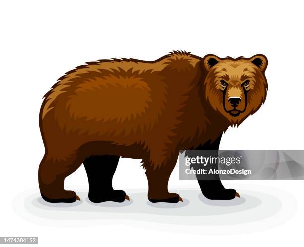 wild brown bear cartoon character. mascot creative design. - roaring stock illustrations