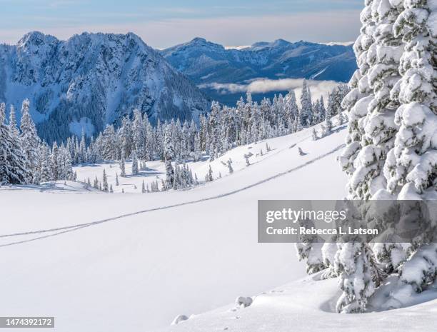 winter landscape at paradise - mt rainier national park stock pictures, royalty-free photos & images