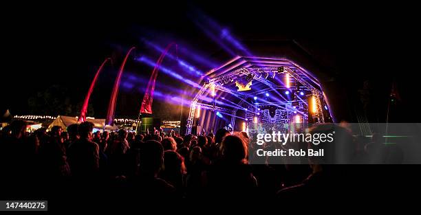 Atmosphere and crowd as Subgiant perform on day one of Blissfields Festival on June 29, 2012 in Winchester, England.