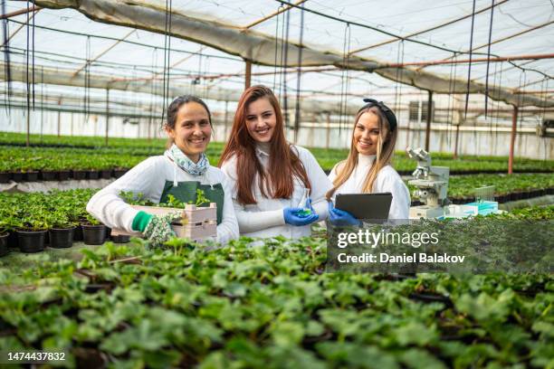 agriculture intelligente. femmes scientifiques travaillant dans un laboratoire de serre. - botaniste photos et images de collection