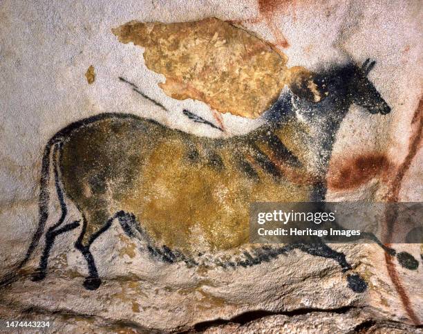 Chinese horse. Caves painting of Lascaux, circa 16.000-15.000 BC. Found in the collection of the Centre national de Préhistoire . Creator: Art of the...