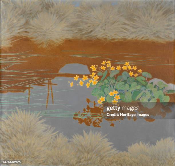 Marsh Marigolds. Private Collection. Creator: Lindh, Bror .