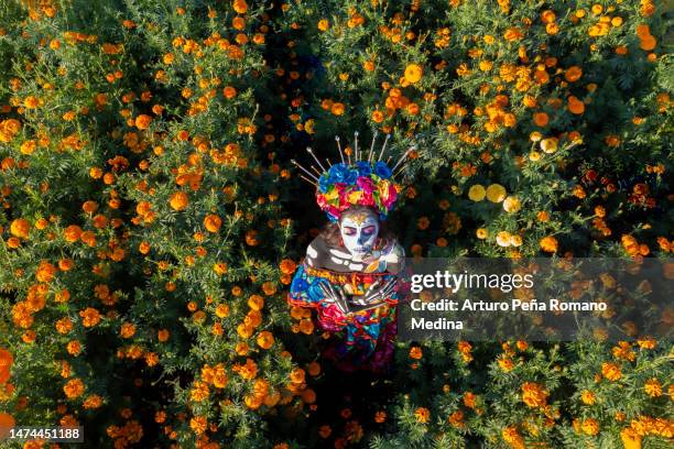 champ de fleurs de cempasúchil, au milieu une catrina vue d’en haut. - la calavera catrina photos et images de collection