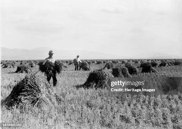 Minidoka Project - U.S. Reclamation Bureau. Minidoka Desert On Year After Irrigation By Government, 1912. The Minidoka Project was a series of public...