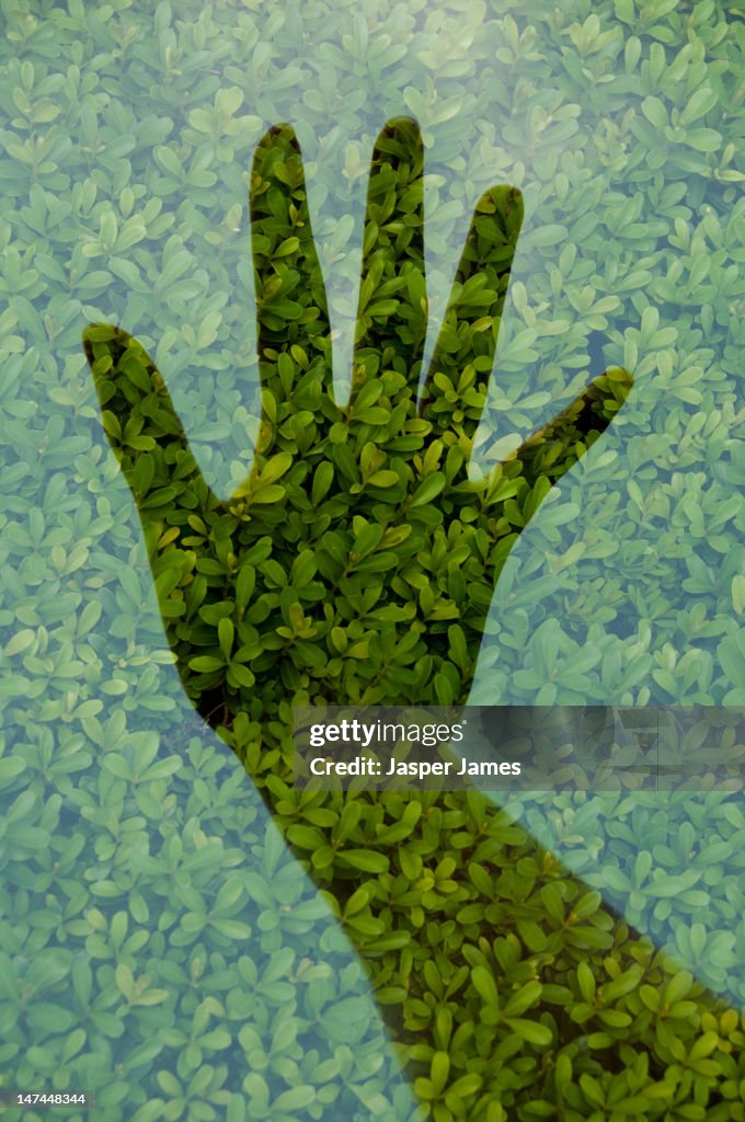 Double exposure of hand and leaves