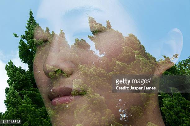 double exposure of womans face and trees - imagination foto e immagini stock