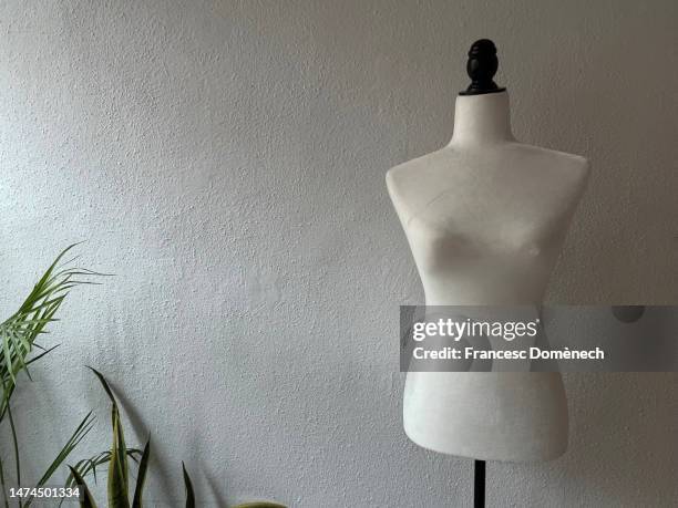 mannequin - mannequin stock pictures, royalty-free photos & images