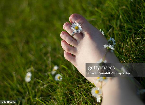 summer daisy chain - ketting van madeliefjes stockfoto's en -beelden