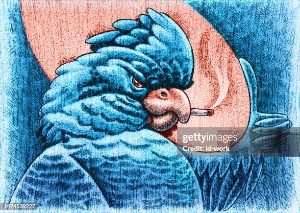 parrot smoking and gesturing thumbs up - macaw stock illustrations