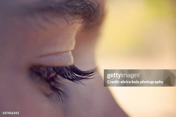 High Resolution Lashes Eyelashes High-Res Stock Photo - Getty Images