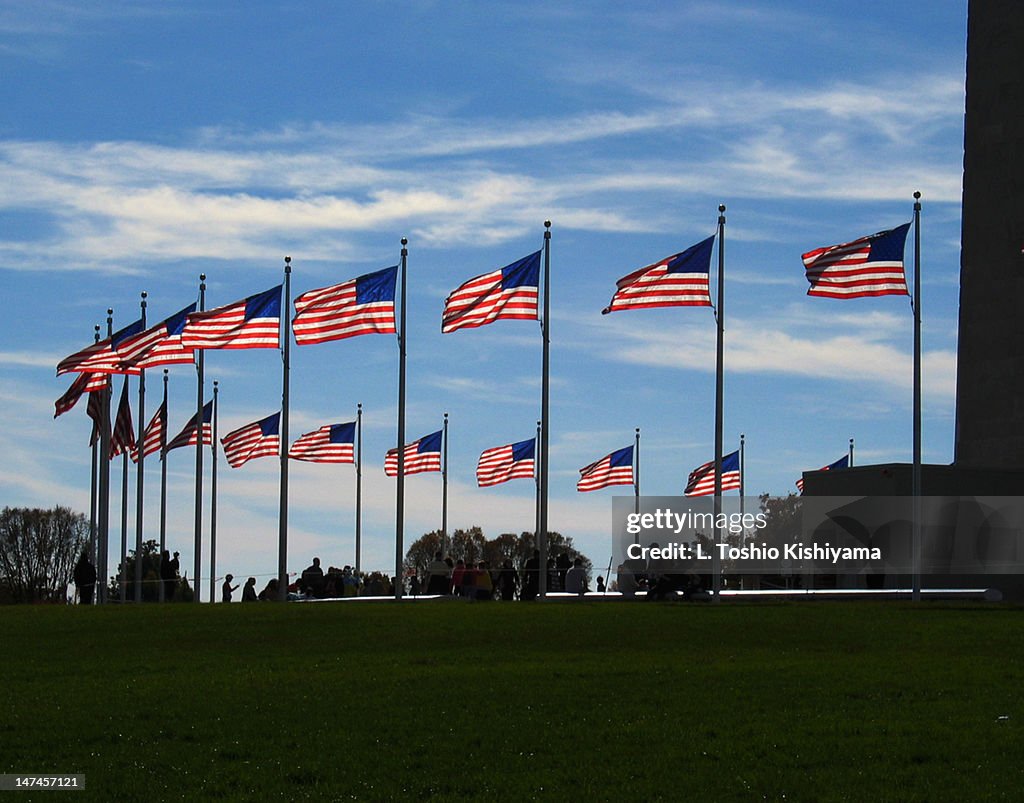 Flags at the Washington Monument