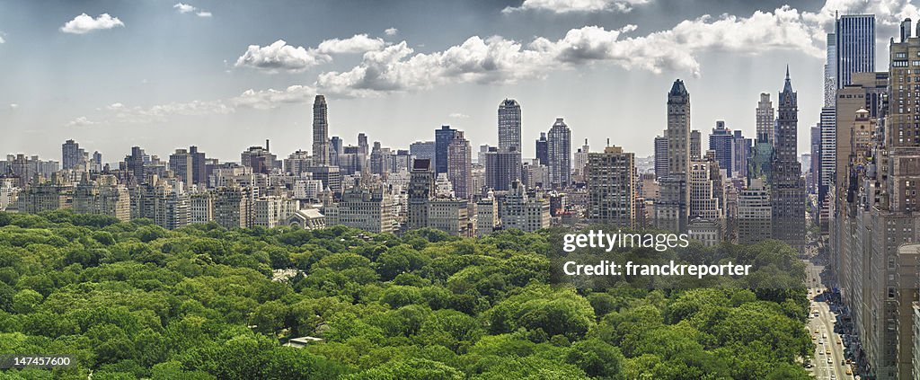 Central Park and Skyline from skyscraper office